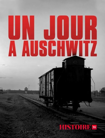 Un jour à Auschwitz - Documentaire (2020)