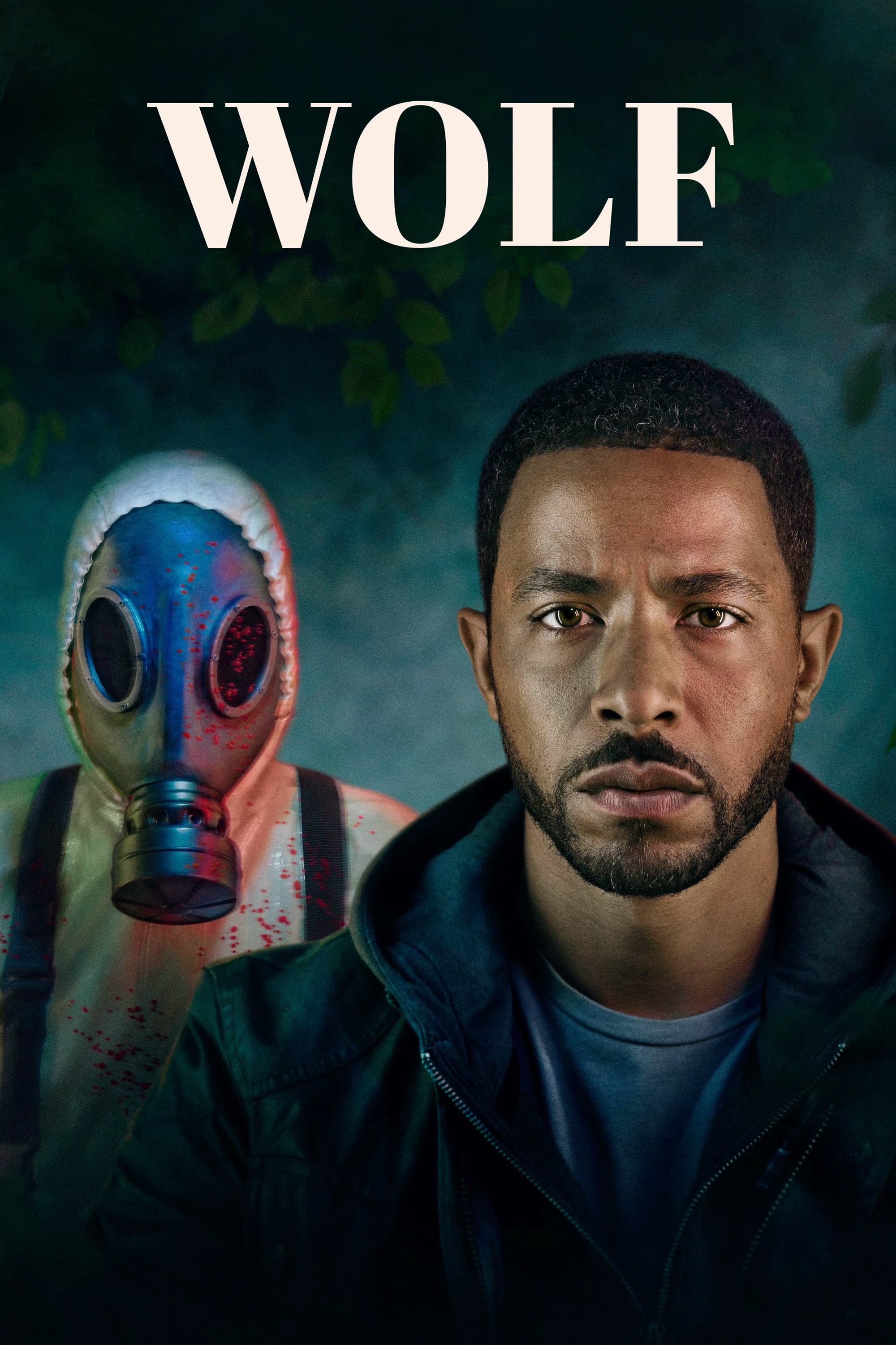 Wolf - Série TV 2023